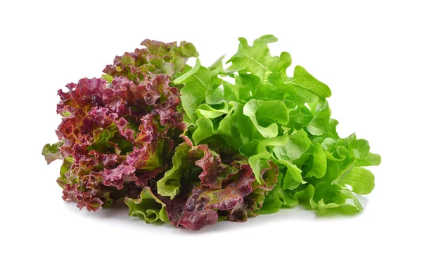 Fresh Red Green Lettuce Isolated White Background — Stock Photo, Image