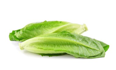 Yeşil çünkü marul beyaz arkaplanda izole edilmiş..