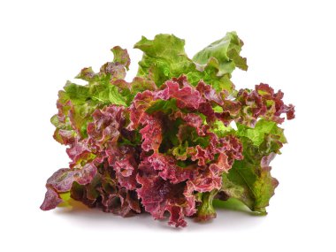 Beyaz arkaplanda taze marul izole edildi.