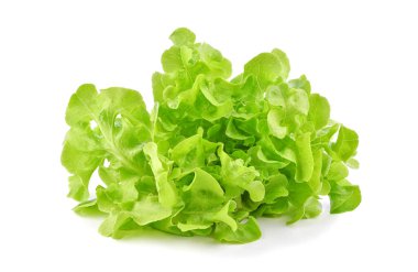 Beyaz arka planda taze yeşil marul..