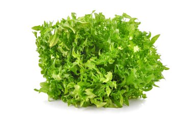 Frillice marulu beyaz arkaplanda izole edilmiş..