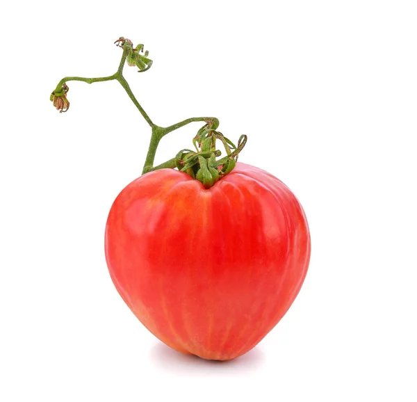 Herzförmige Tomate Isoliert Auf Weißem Hintergrund — Stockfoto