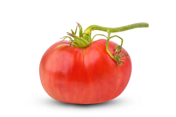 Einzelne Reife Tomate Isoliert Auf Weißem Hintergrund — Stockfoto