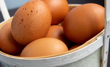 Bej taze tavuk yumurtalı sepet. Çiftlik ürünleri.
