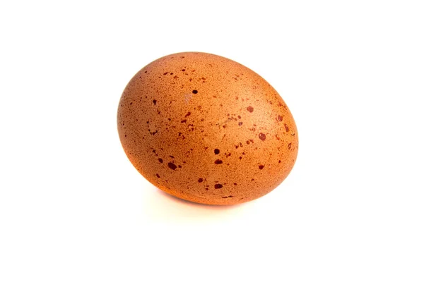 Beige Fresh Organic Chicken Egg White Background — Stock Photo, Image