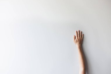 Beyaz arkaplanda bir kadın eli