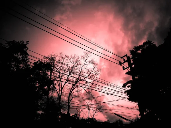 Pôr do sol, céu vermelho com silhueta de árvore e horizonte — Fotografia de Stock