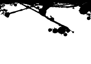 soyut sıçramak siyah renk arka plan üzerinde beyaz izole.