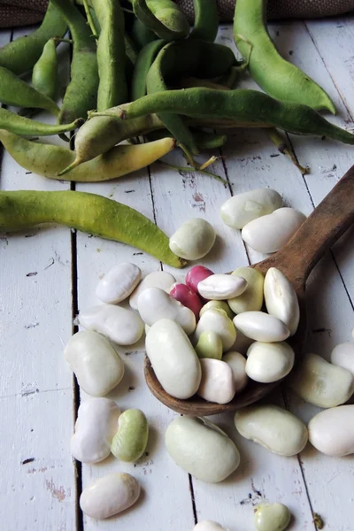 Fagioli su sfondo bianco — Foto Stock