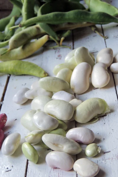 Fagioli su sfondo bianco — Foto Stock