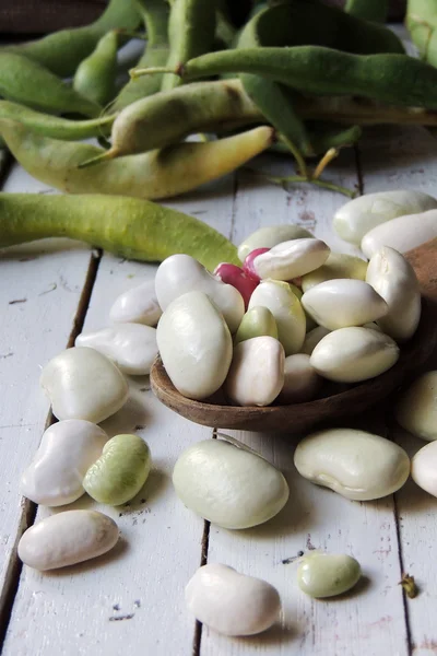 Mladé fazolky na bílém pozadí — Stock fotografie