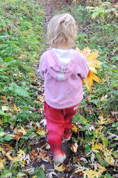 Menina na floresta com um monte de folhas amarelas — Fotografia de Stock