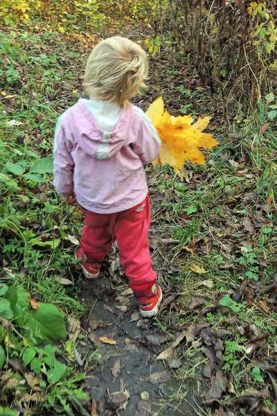Mädchen im Wald mit einem Bund gelber Blätter — Stockfoto