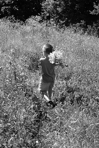 Kind von hinten und Wildblumen — Stockfoto