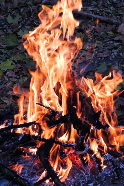 非常に熱い木。火。背景の自然火災 — ストック写真
