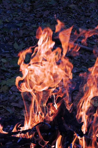 Het verbranden van hout. Het vuur. Achtergrond natuur brand — Stockfoto