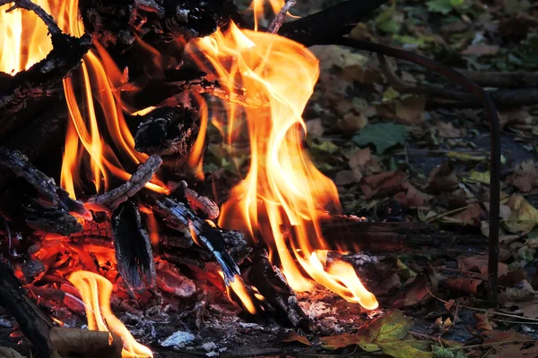 A queimar madeira. O fogo. Fundo Natureza Fogo — Fotografia de Stock