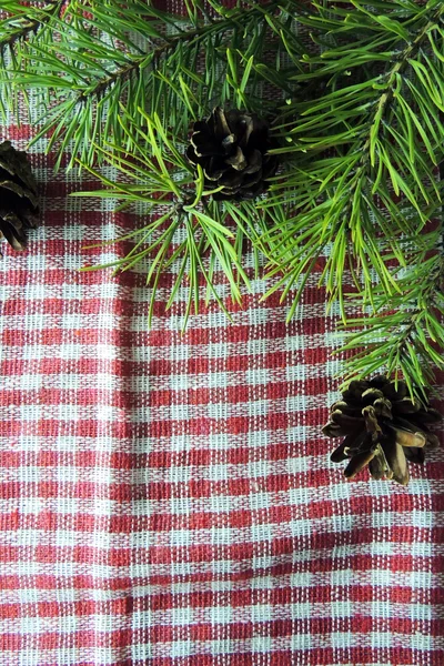 어두운 나무 보드에 장식으로 크리스마스 전나무 — 스톡 사진
