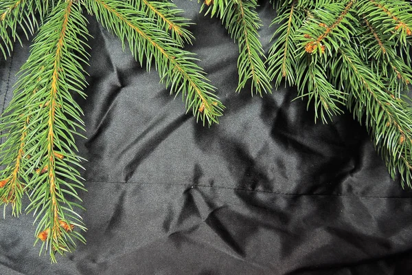 Siyah arka planda Noel ağacı — Stok fotoğraf