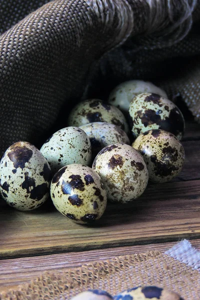 Huevos de codorniz sobre mesa de madera — Foto de Stock