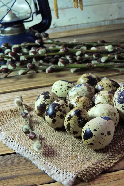 Bıldırcın yumurtası ve willow — Stok fotoğraf