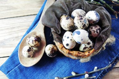 Bıldırcın yumurtası ve willow