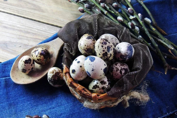 Křepelčí vejce a willow — Stock fotografie