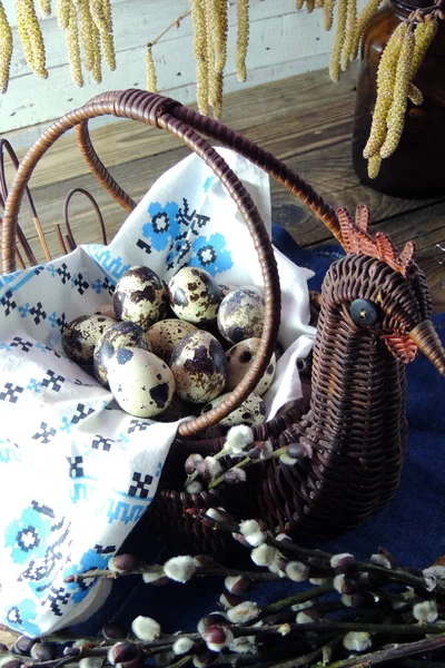 Quail eggs and willow — Stock Photo, Image