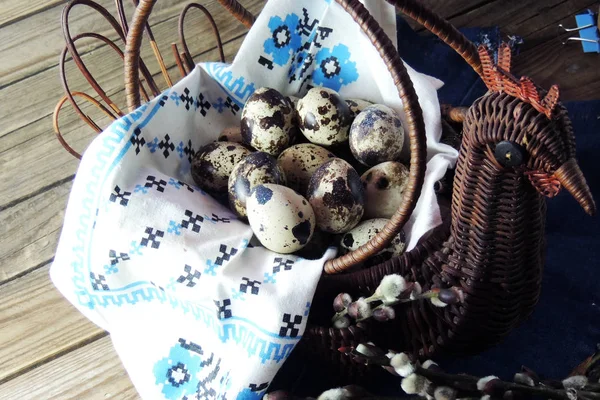 Quail eggs and willow — Stock Photo, Image