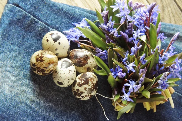 Яйцо перепела и весенние цветы — стоковое фото