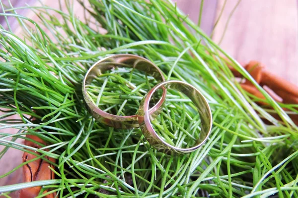 Pareja anillos de boda — Foto de Stock