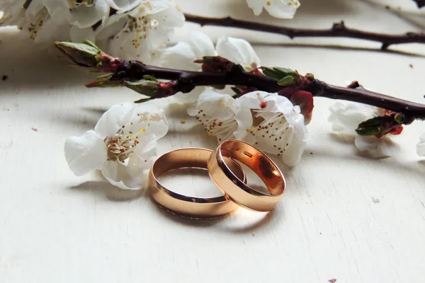 Pareja anillos de boda — Foto de Stock