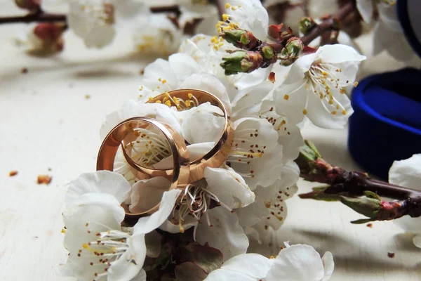 Pareja anillos de boda — Foto de Stock