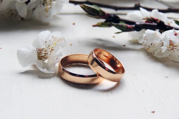 Pareja anillos de boda — Foto de Stock