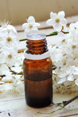 Esans ve bahar çiçekleri