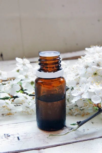 Ефірна олія та весняні квіти — стокове фото