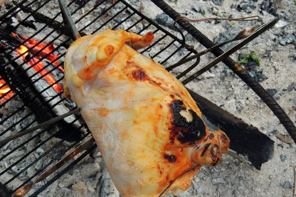 Pollo en el fuego — Foto de Stock
