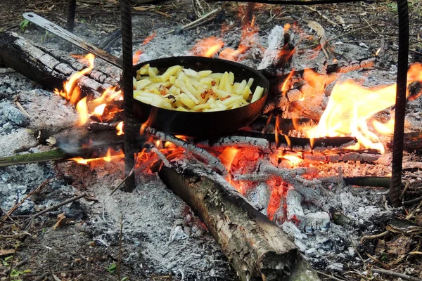 Frango na fogueira — Fotografia de Stock