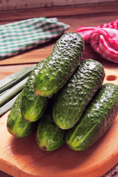 Tomate e pepino — Fotografia de Stock