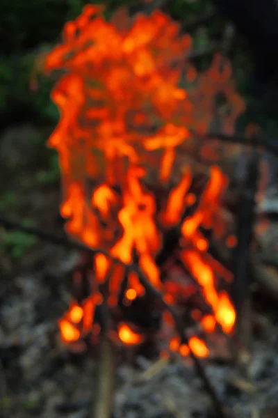 非常に熱い木。火。背景の自然火災 — ストック写真