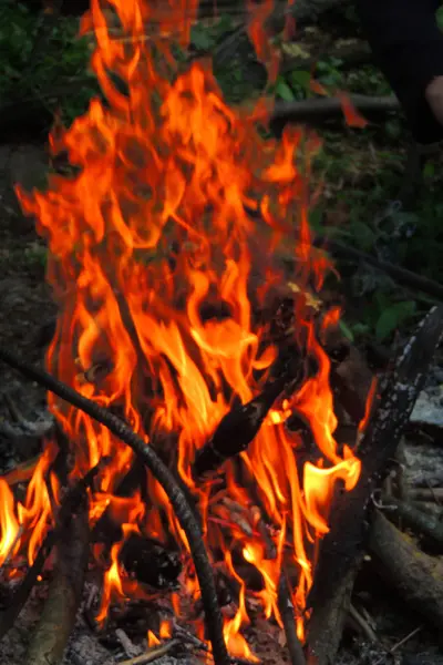 Brinnande ved. Avfyra. Bakgrunden natur Fire — Stockfoto