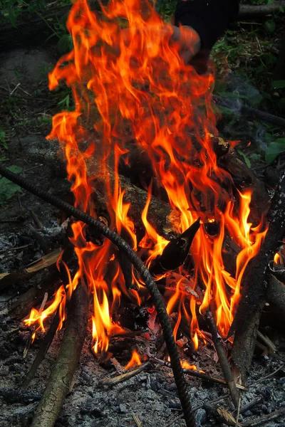 Brinnande ved. Avfyra. Bakgrunden natur Fire — Stockfoto