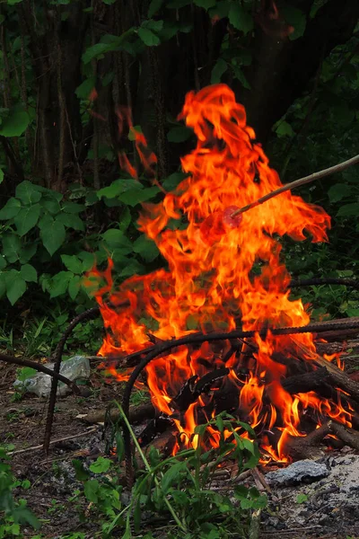 Brinnande ved. Avfyra. Bakgrunden natur Fire — Stockfoto