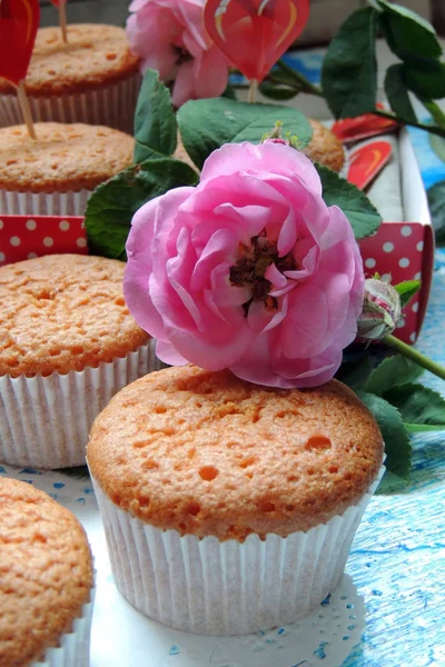 Cupcake e rosa — Foto Stock