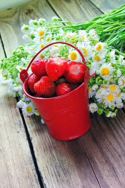 Erdbeeren im Eimer — Stockfoto