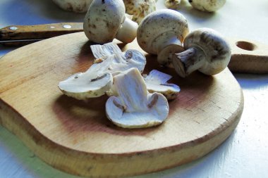 mantar yönetim kurulu