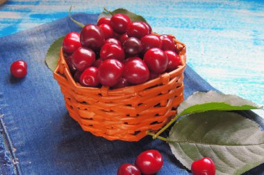 Olgun Kiraz sepeti yaz yeşillik güneş ışığı altında karşı kırsal üzerinde eski ahşap tablo 