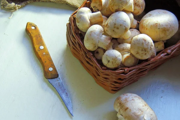 Pilze auf dem Brett — Stockfoto