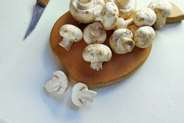 Pilze auf dem Brett — Stockfoto