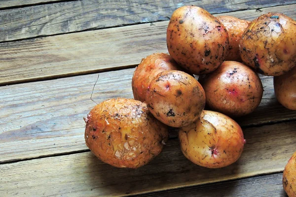 칠판에 젊은 감자 — 스톡 사진